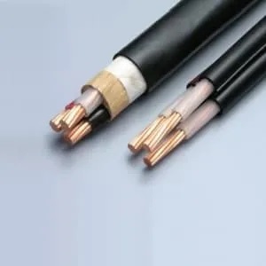 600V-CV-5.5SQX2C(50M)｜【FDC(ﾌｼﾞｸﾗﾀﾞｲﾔｹｰﾌﾞﾙ)】電線