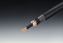 EM-CEE/F-1.25SQX-2C(100M)｜【FDC(ﾌｼﾞｸﾗﾀﾞｲﾔｹｰﾌﾞﾙ)】電線