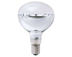 RF110V450WH｜【岩崎電気】白熱ランプ屋外用４５０Ｗ